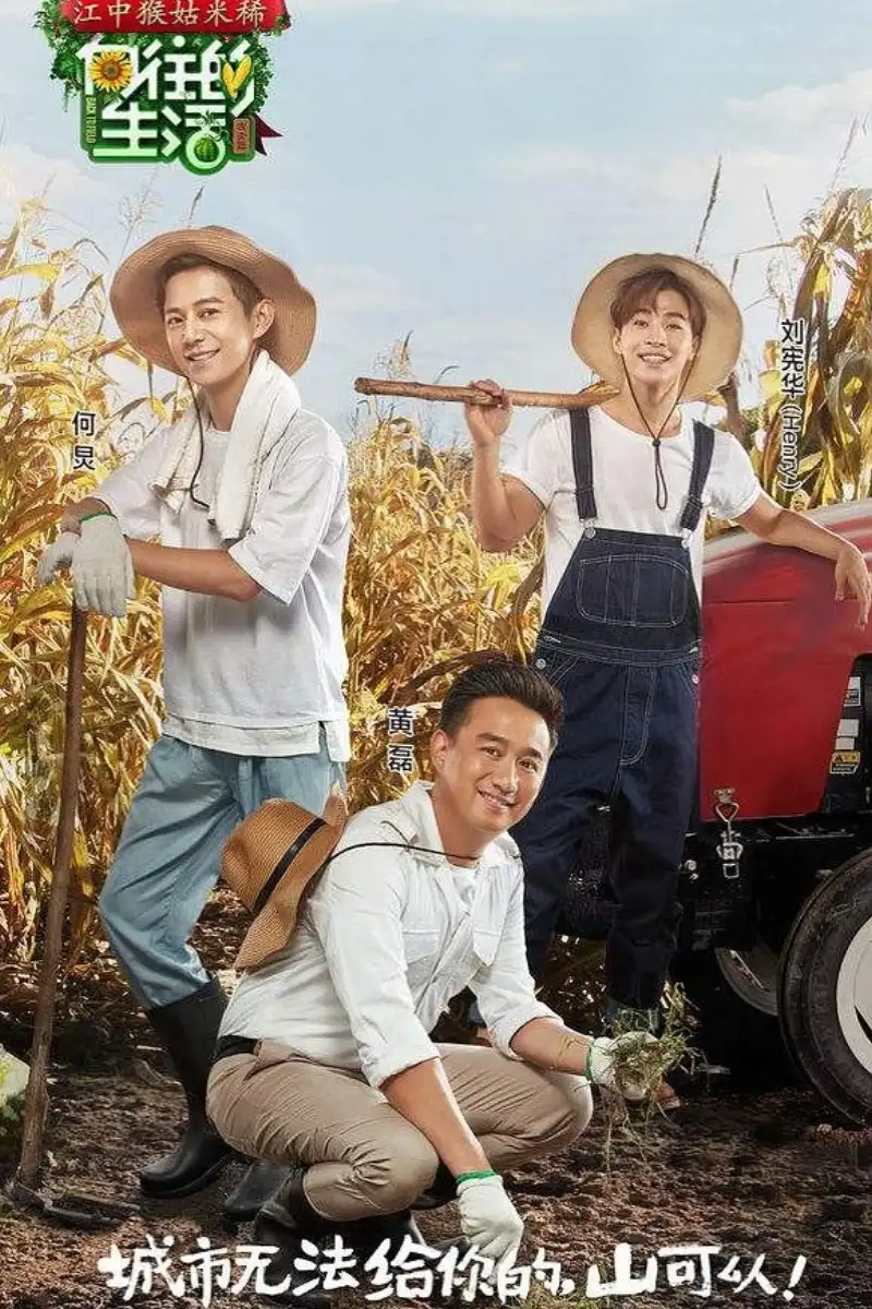 JD110 又到樱花绽放时